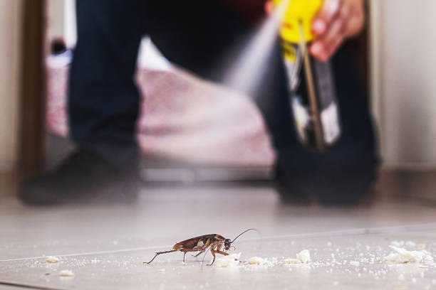 Best Pest Removal Services  in Kingsley, MI