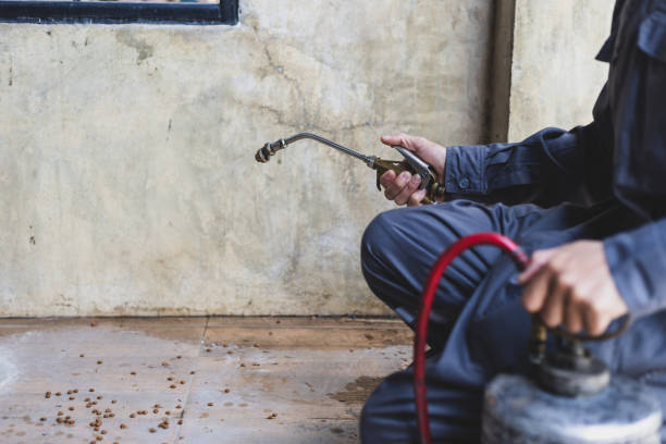 Pest Control Cost in Kingsley, MI